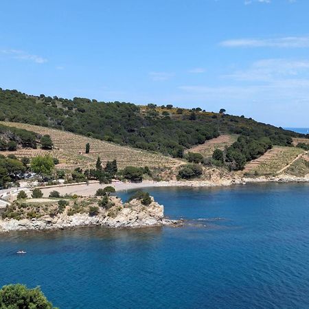 Grand Studio Avec Vue Sur La Mer Et Parking Баньюль-сюр-Мер Экстерьер фото
