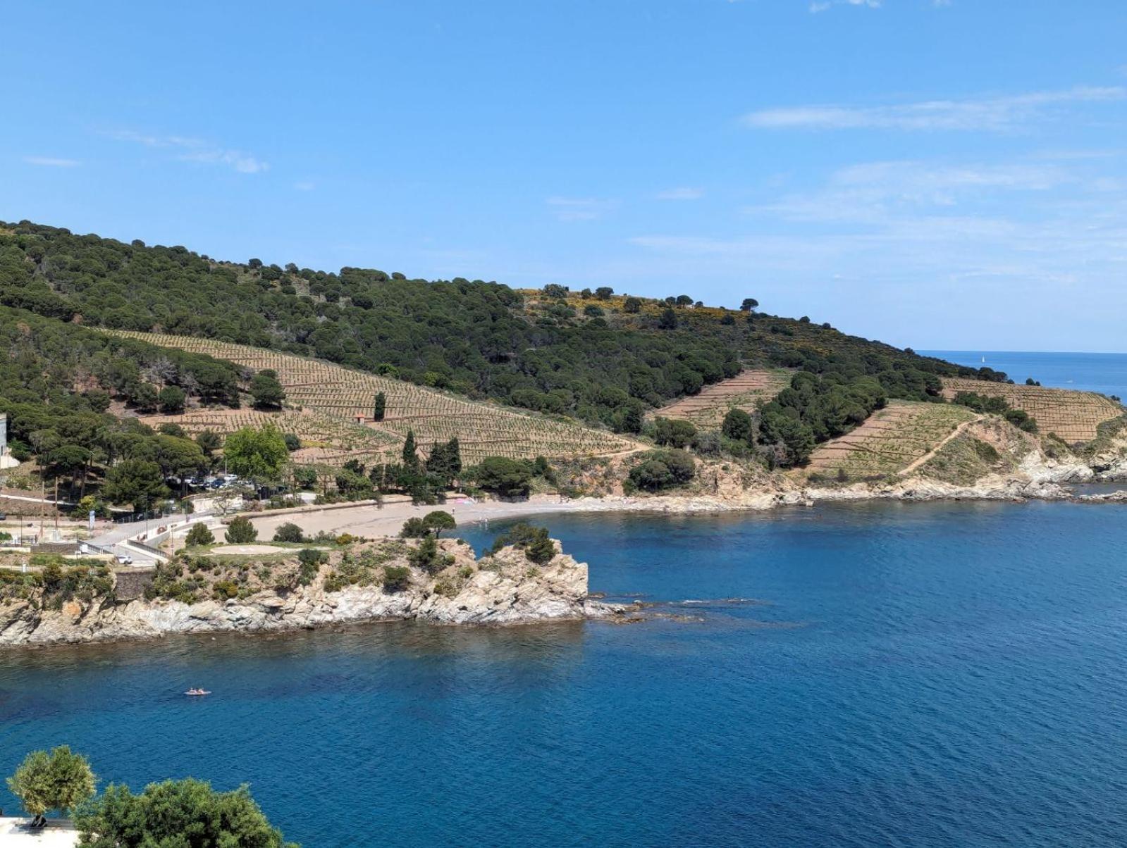 Grand Studio Avec Vue Sur La Mer Et Parking Баньюль-сюр-Мер Экстерьер фото